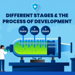 Different stages & the process of development