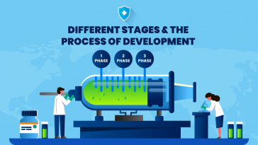 Different stages the process of development