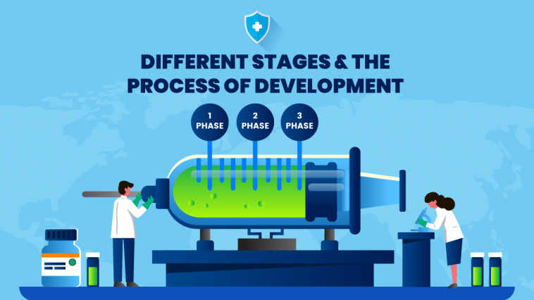 Different stages & the process of development