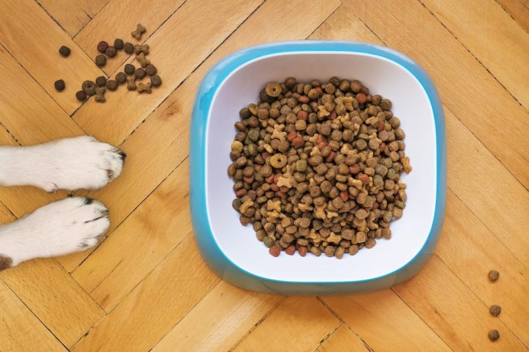 The Pros and Cons of Raw Food Diets for Pets