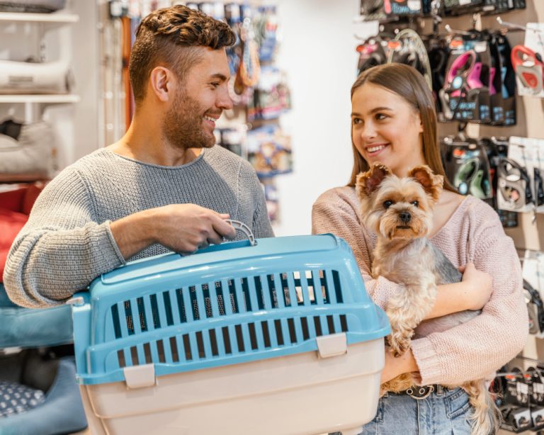 Bernedoodle Sizes and Varieties: Choosing the Right One in Toronto