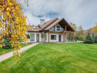 6 Essential Tips for Proper Tree Pruning