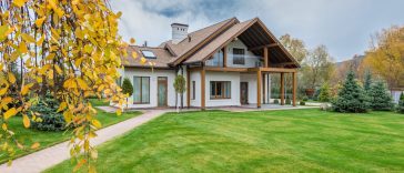 6 Essential Tips for Proper Tree Pruning