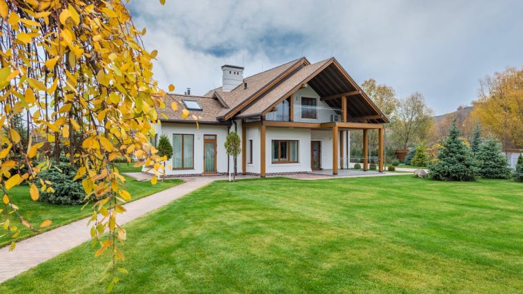 6 Essential Tips for Proper Tree Pruning