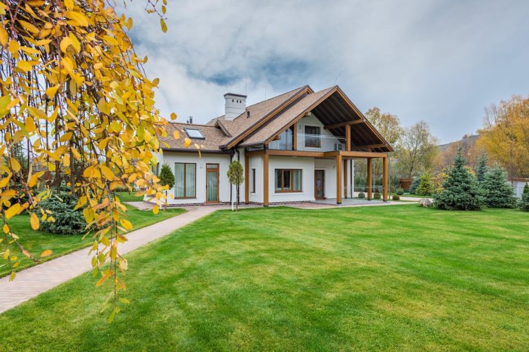 6 Essential Tips for Proper Tree Pruning to Improve Your Home’s Curb Appeal