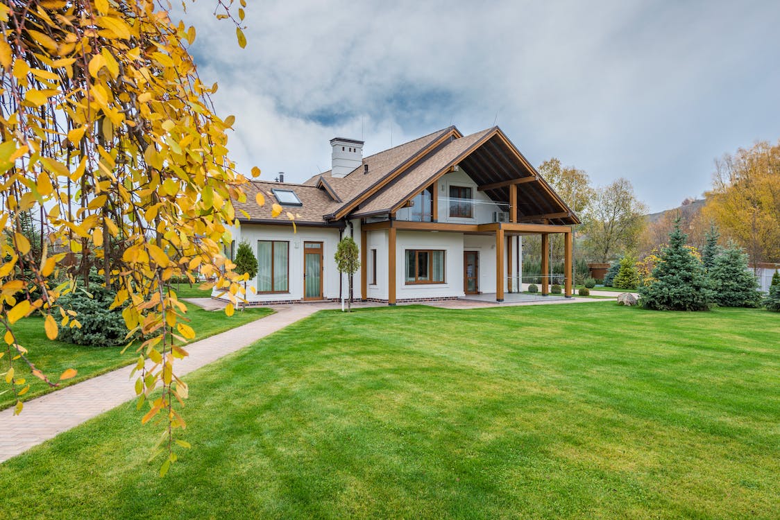 6 Essential Tips for Proper Tree Pruning