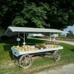 Farm Stands