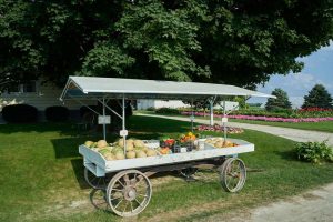 Farm Stands