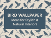 Peel and Stick Bird Wallpaper